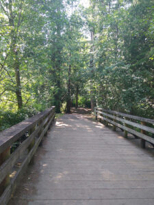 McCollum Park Forest Loop Trail