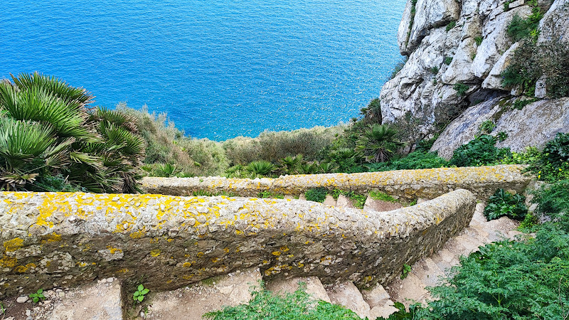 Mediterranean Steps