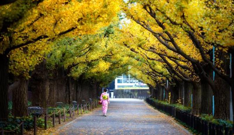 Meiji Jingu Gaien