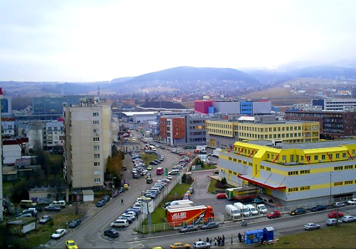 Mladost