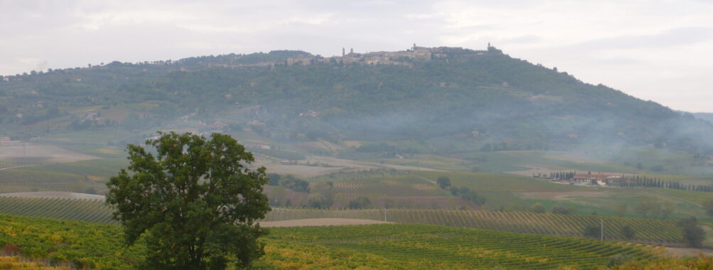 Gourmet Wine and Food Tasting in Montalcino Review