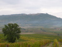 Gourmet Wine and Food Tasting in Montalcino Review