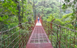 Monteverde Cloud Forest Biological Preserve