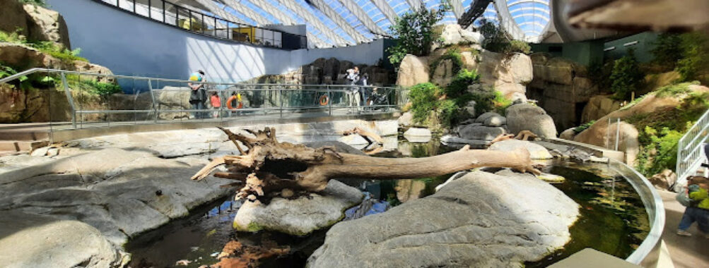 Montreal Biodome Travel Forum Reviews