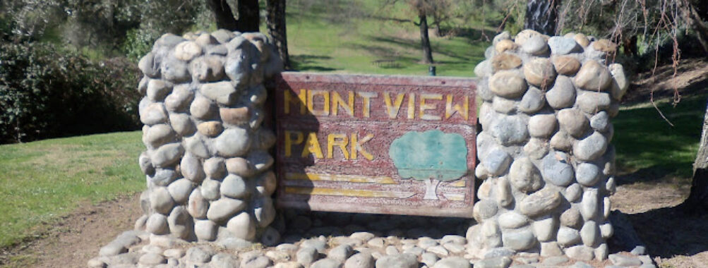 Montview Park Travel Forum Reviews