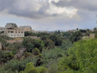 Mosta Valley Travel Forum Reviews