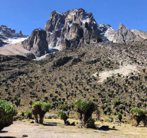 Mount Kenya National Park