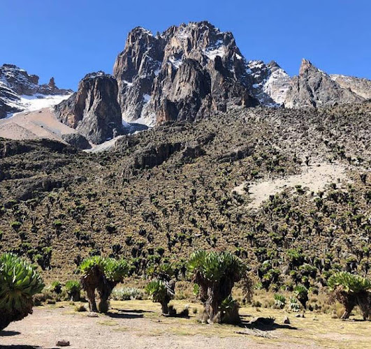 Mount Kenya National Park