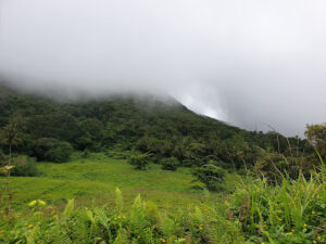 Mt. Hibok-Hibok View