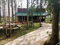 Murchison Backpackers Travel Forum Reviews