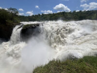 Murchison Falls Uganda Travel Forum Reviews