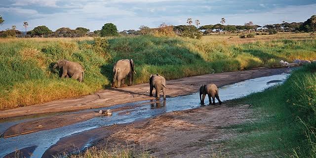 Mwea National Reserve