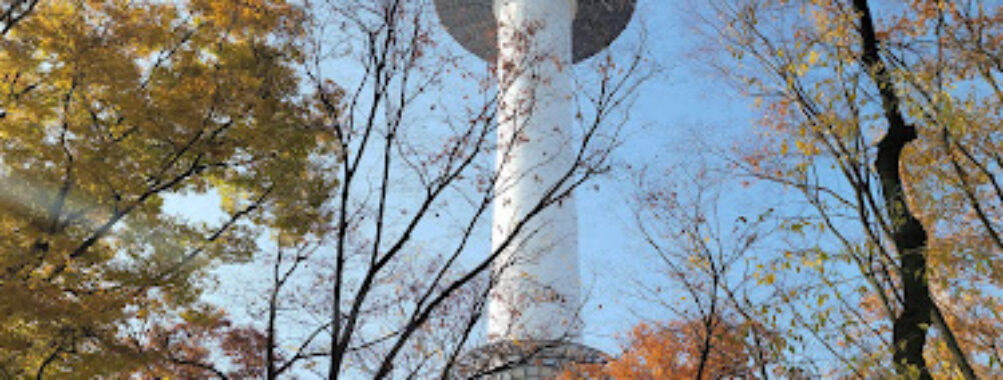 N Seoul Tower Travel Forum Reviews