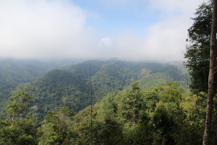 Nam Ha National Bio-Diversity Conservation Area.