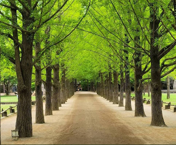 Nami Island