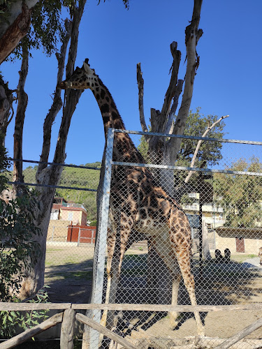 Naples Zoo