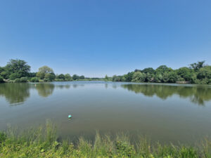 National Trust - Hatfield Forest