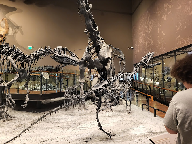 Natural History Museum of Utah