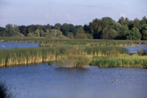 Natural Reserve - Leisure Base