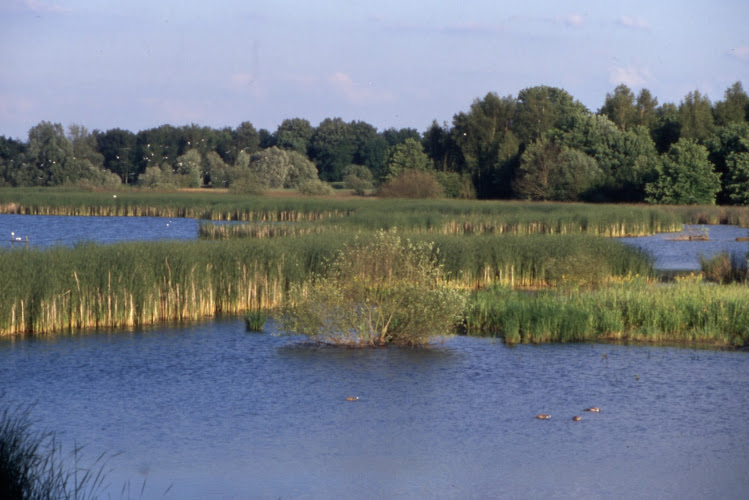 Natural Reserve – Leisure Base