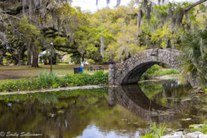 New Orleans City Park