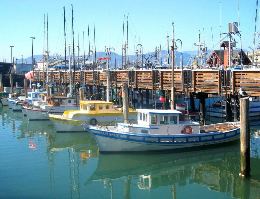 Boats docked at North Beach in San Francisco