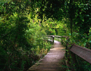 Northlake Nature Center