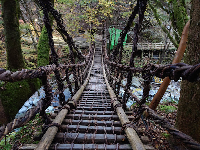 Oku-Iya Double Vine Bridge