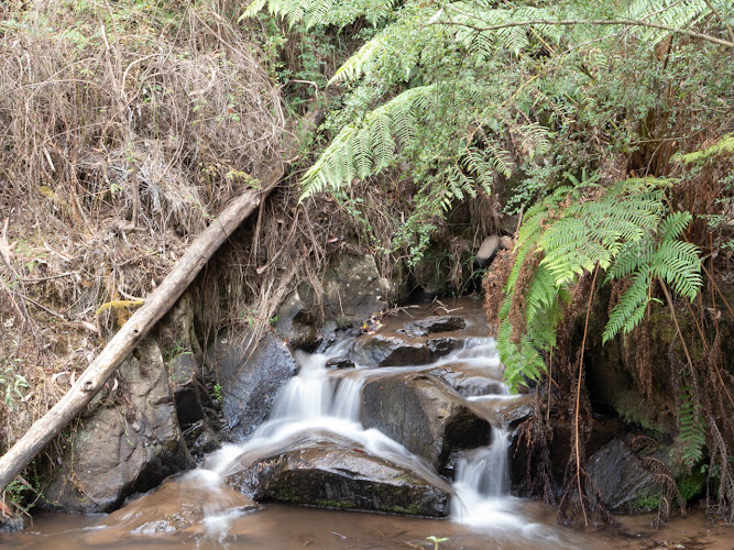 Olinda Falls