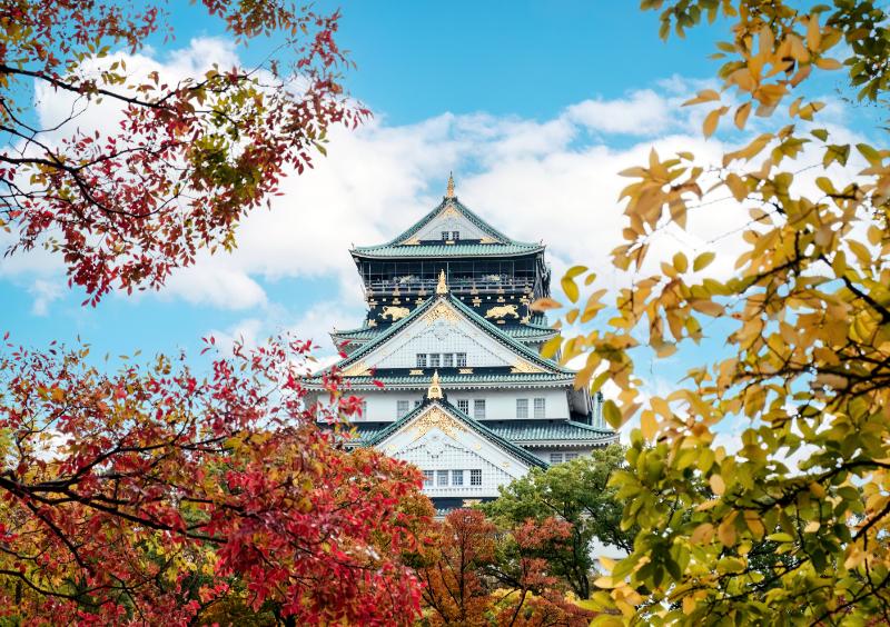 Osaka Castle with autumn foliage covered in Japan