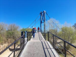 PUENTE GOLDEN DE MAGDALENA