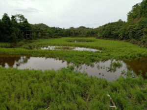 Paghungawan Marsh