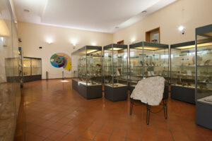 Paleontological Museum