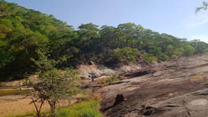 Paradise Pools - Arcadia Dam