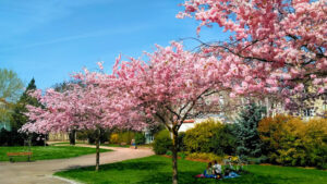 Parc Charles III