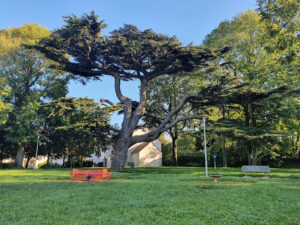 Parc du Cèdre