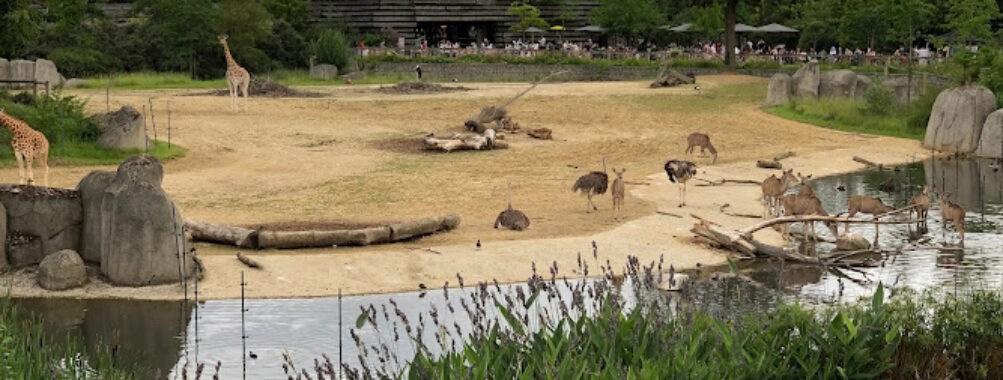 Parc zoologique de Paris Travel Forum Reviews