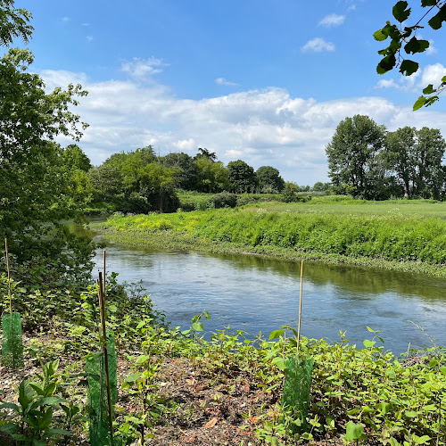 Parco delle Anse del Lambro