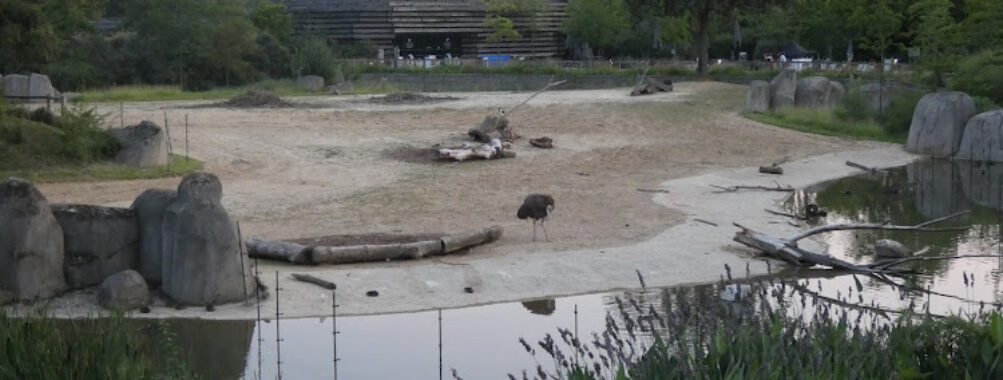 Paris Zoological Park Travel Forum Reviews