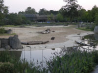 Paris Zoological Park Travel Forum Reviews