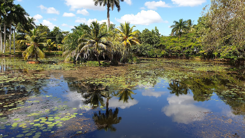 Parque Nacional Ciénaga de Zapata