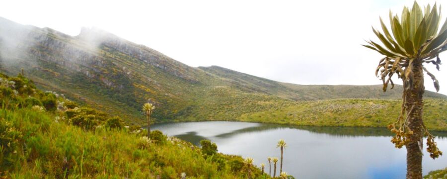 Parque Nacional Natural Chingaza