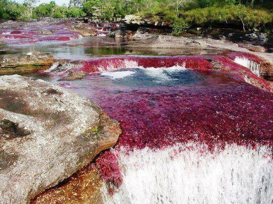 Parque Nacional Natural Serranía de La Macarena