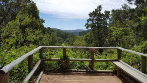 Parque Nacional Nonguén