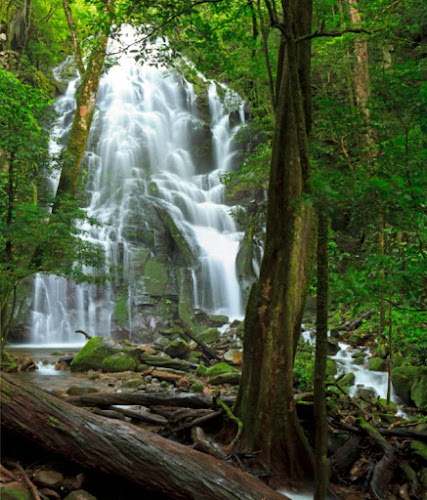 Parque Nacional Rincón de la Vieja