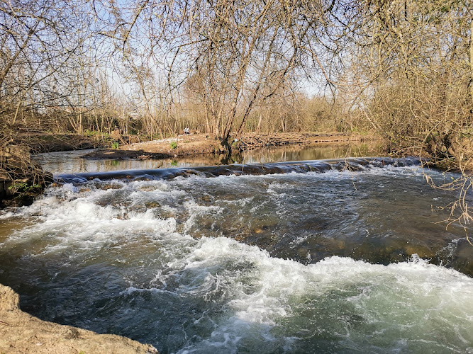 Parque Socer