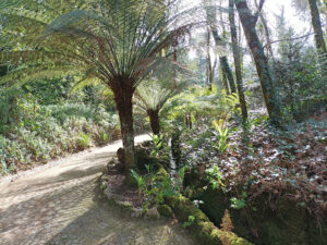 Parque da Pena