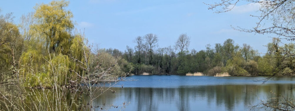 Paxton Pits Nature Reserve Travel Forum Reviews