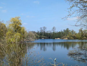 Paxton Pits Nature Reserve