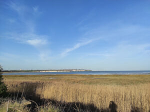 Pegwell Bay Country Park